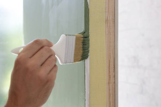 Best Basement Mold Removal  in Galls, IN