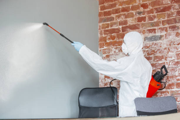 Best Indoor Air Quality Assessment  in Galls, IN