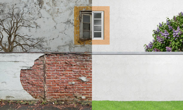 Mold Odor Removal Services in Ingalls, IN