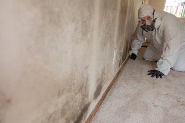 Best Comprehensive Air Testing for Mold Contaminants  in Galls, IN
