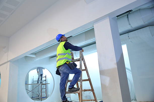 Best Mold Odor Removal Services  in Galls, IN