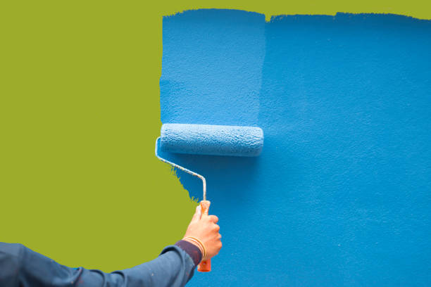 Best Attic Mold Removal  in Galls, IN