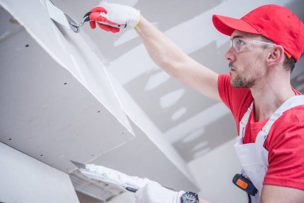 Best Crawl Space Mold Remediation  in Galls, IN