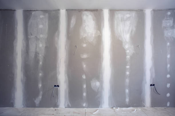 Best Water Damage & Mold Remediation  in Galls, IN